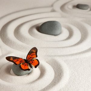 Red butterfly in zen raked sand circle